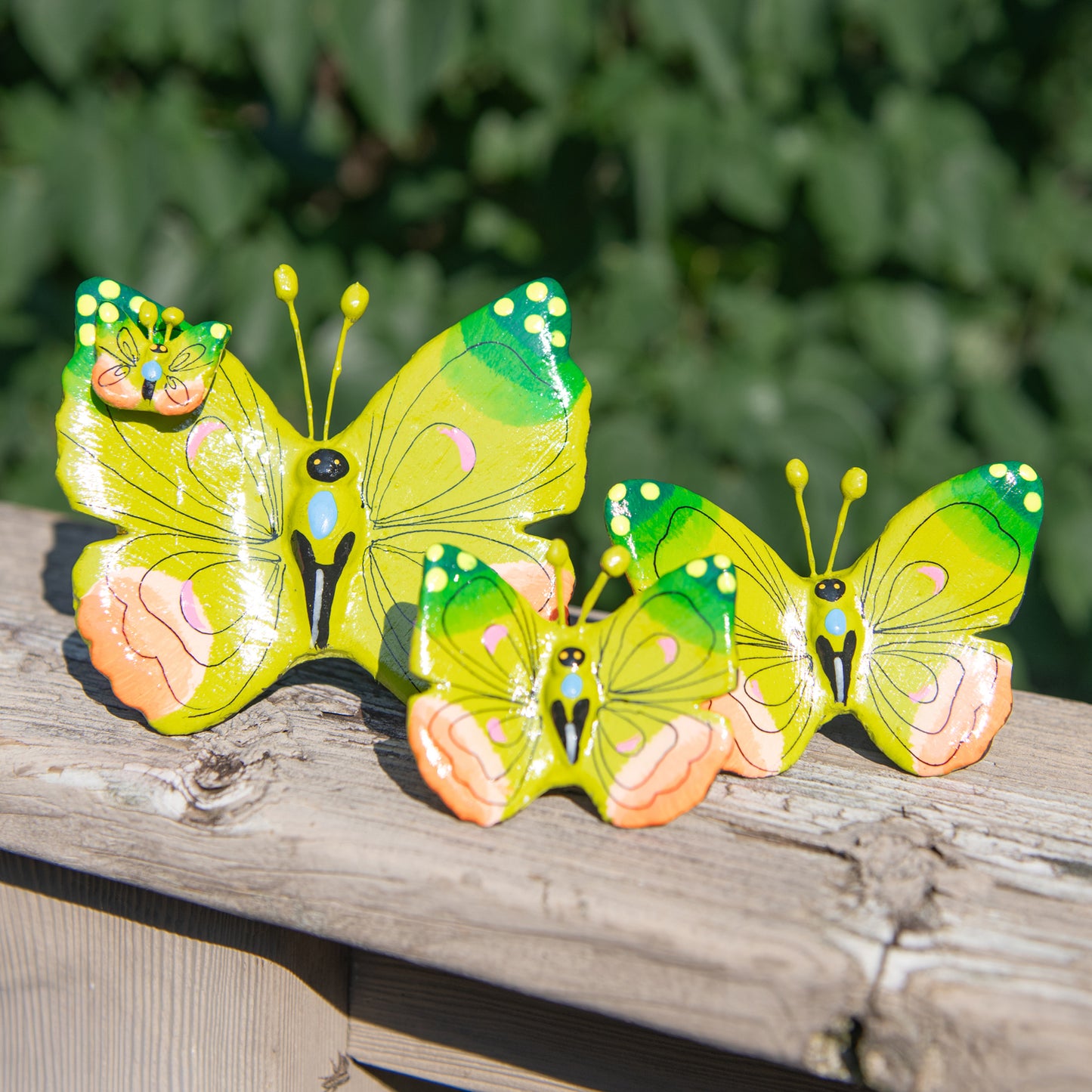 Butterfly Ceramic Set