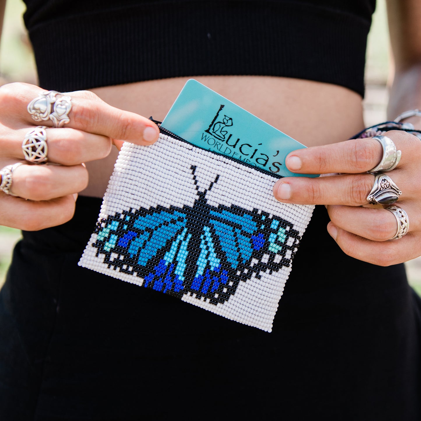Butterfly Coin Bag