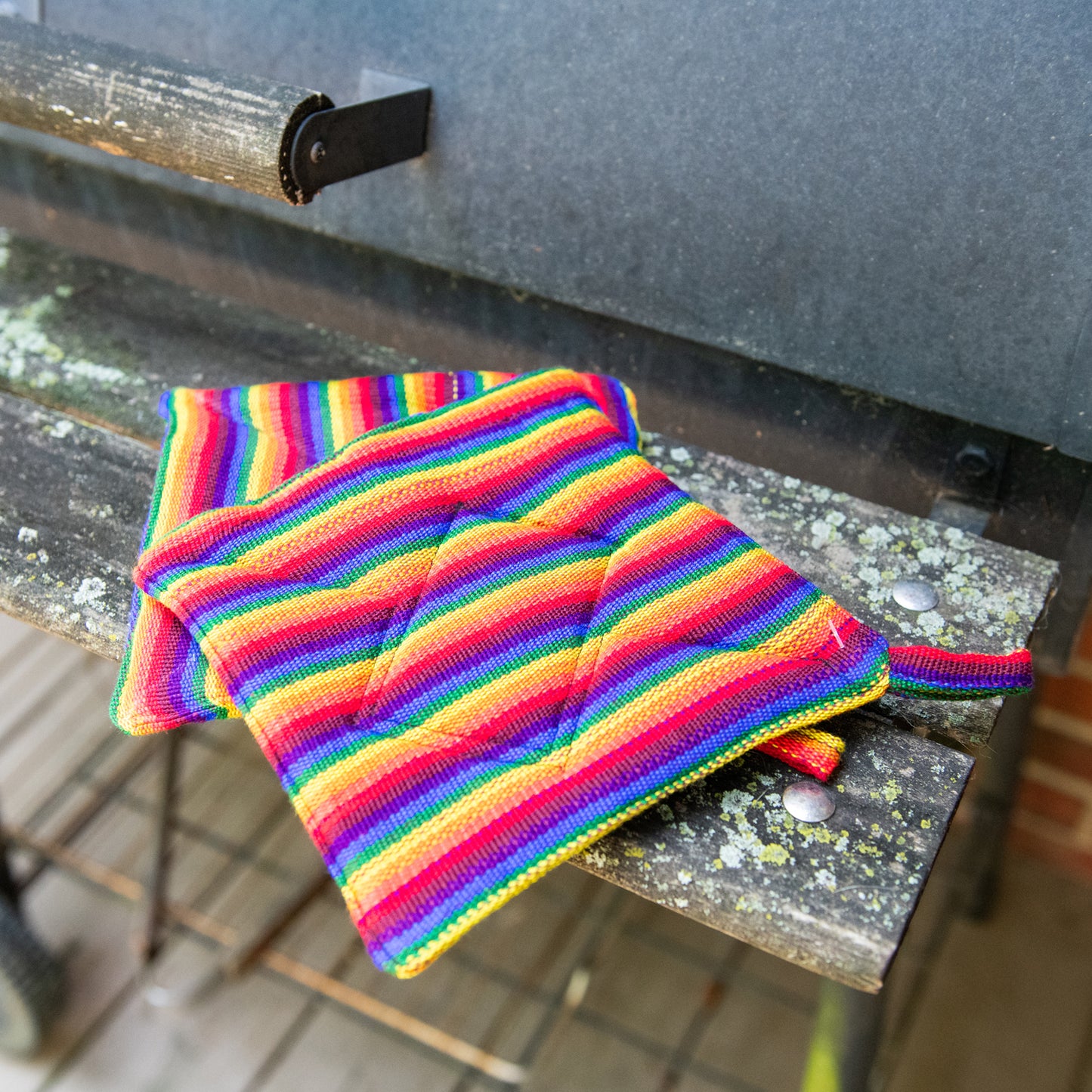 Set of 2 Matching Square Potholders