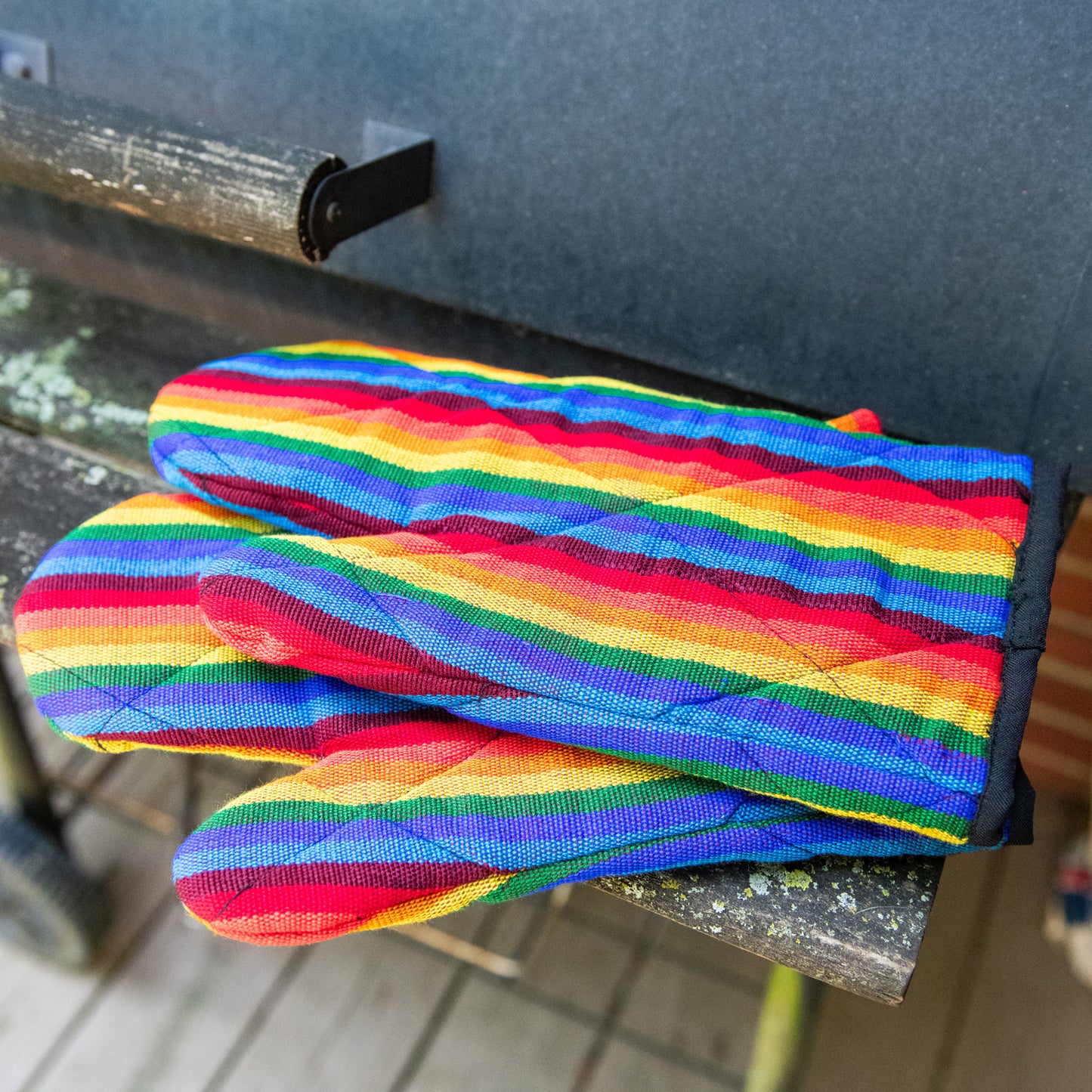 Set of 2 Matching Oven Mitts