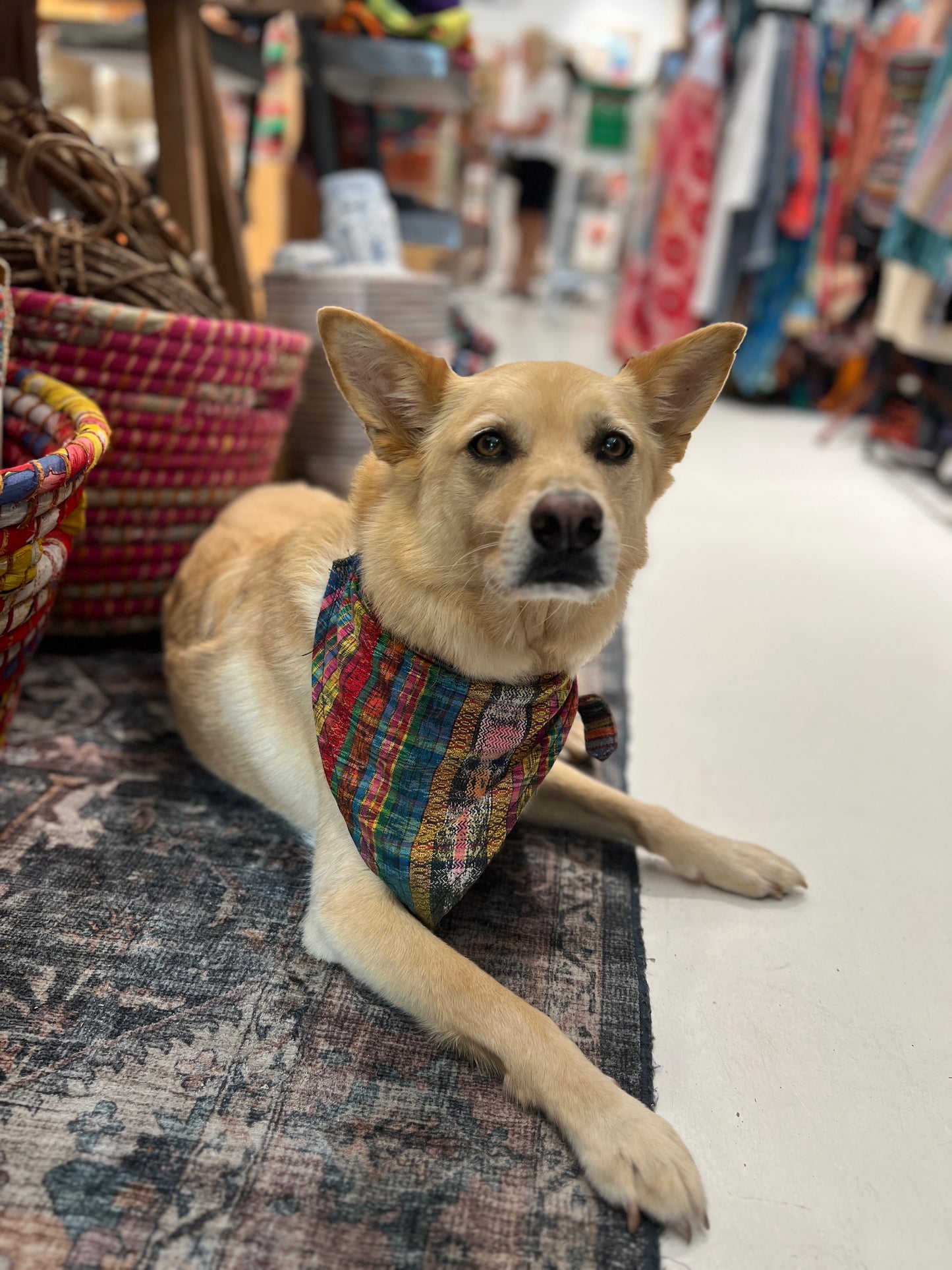 Upcycled Bandana