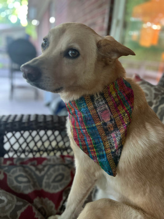 Corte Dog Bandana