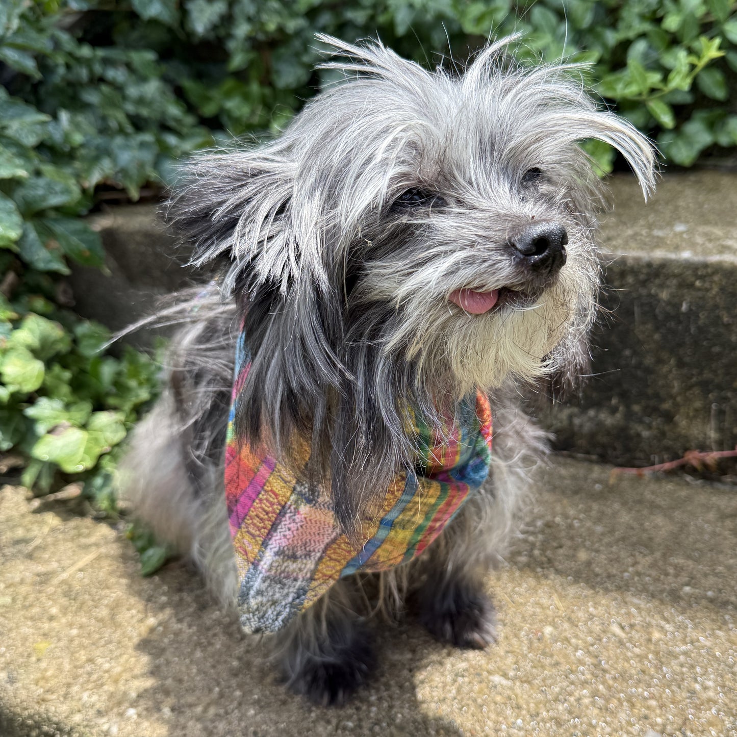 Upcycled Bandana