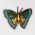 butterfly pin pollinator jewelry handmade fair trade ethically made