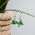 quetzal handmade fair trade guatemalan earring