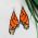 orange butterfly wing earring